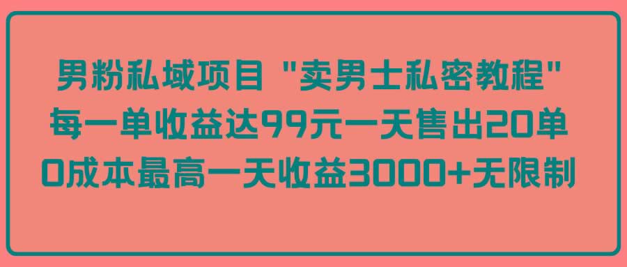 (9730期)男粉私域项目 “卖男士私密教程” 每一单收益达99元一天售出20单-米壳知道—知识分享平台