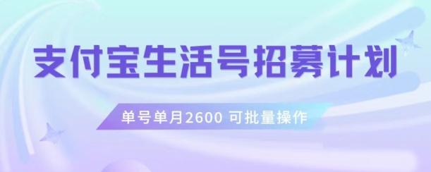 支付宝生活号作者招募计划，单号单月2600，可批量去做，工作室一人一个月轻松1w+【揭秘】-米壳知道—知识分享平台