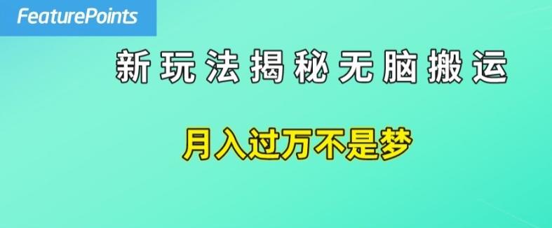 简单操作，每天50美元收入，搬运就是赚钱的秘诀【揭秘】-米壳知道—知识分享平台