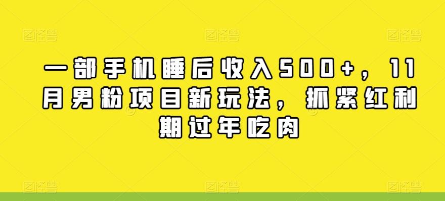 一部手机睡后收入500+，11月男粉项目新玩法，抓紧红利期过年吃肉-米壳知道—知识分享平台