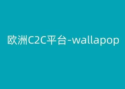 欧洲C2C平台-wallapop-kim跨境电商教程-米壳知道—知识分享平台