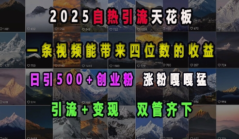 2025自热引流天花板，一条视频能带来四位数的收益，引流+变现双管齐下，日引500+创业粉，涨粉嘎嘎猛-米壳知道—知识分享平台