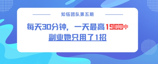 副业她只用了1招，每天30分钟，无脑二创，一天最高1.5k-米壳知道—知识分享平台