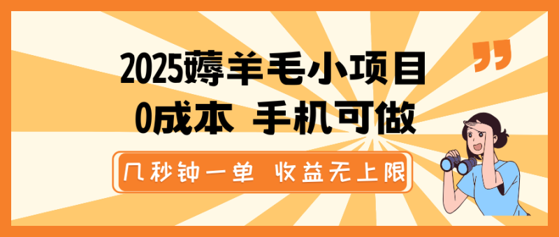 2025薅羊毛小项目，0成本 手机可做，几秒钟一单，收益无上限-米壳知道—知识分享平台