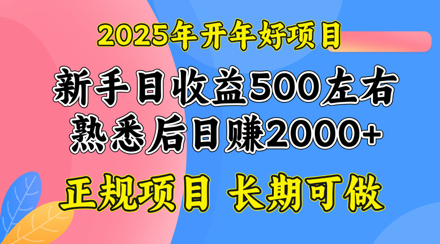 2025开年好项目，单号日收益2000左右-米壳知道—知识分享平台