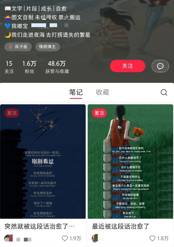 图片[2]-小红书治愈文案图文笔记，零门槛，一分钟制作轻松制作爆款作品月入万元-米壳知道—知识分享平台