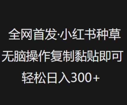 全网首发，小红书种草无脑操作，复制黏贴即可，轻松日入3张-米壳知道—知识分享平台