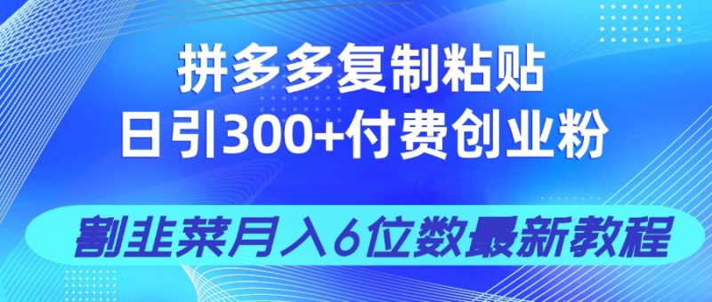 拼多多复制粘贴日引300+付费创业粉，割韭菜月入6位数最新教程！-米壳知道—知识分享平台