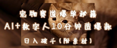 宠物赛道爆单秘籍：AI+数字人10分钟造爆款，日入1k-米壳知道—知识分享平台