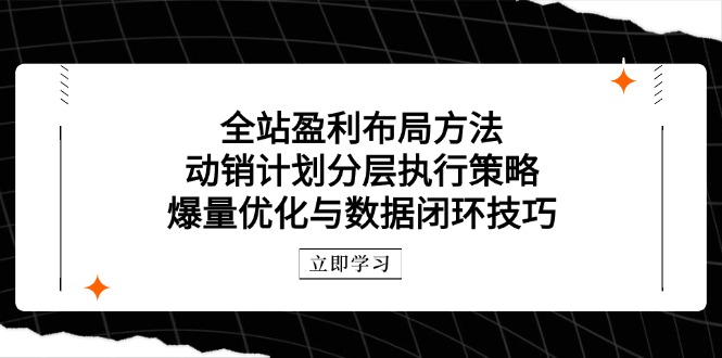 全站盈利布局方法：动销计划分层执行策略，爆量优化与数据闭环技巧-米壳知道—知识分享平台