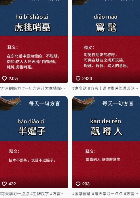 图片[2]-抖音最新涨粉玩法，图文方言暴力涨粉实操，126作品涨粉11W-米壳知道—知识分享平台