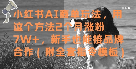 小红书AI商单玩法，用这个方法2个月涨粉7W+，新手也能接品牌合作(附全套指令模板)-米壳知道—知识分享平台