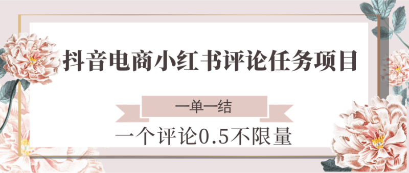 抖音电商小红书评论任务项目,一个评论0.5,一单一结 不限量-米壳知道—知识分享平台
