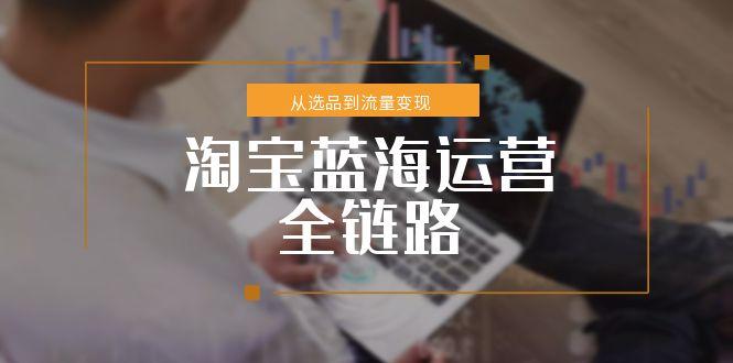 淘宝蓝海运营全链路，从选品到流量变现，小类目突围完整方案-米壳知道—知识分享平台