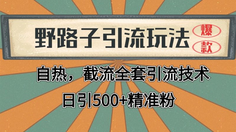 2024首发野路子引流玩法截流自热全平台打法,全自动引流【日引2000+精准客户】-米壳知道—知识分享平台