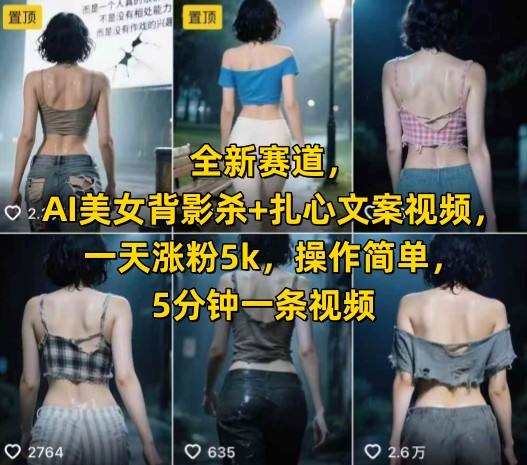 全新赛道，AI美女背影杀+扎心文案视频，一天涨粉5k，操作简单，5分钟一条视频-米壳知道—知识分享平台