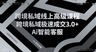 跨境私域线上高级课程，跨境私域极速成交3.0+Ai智能客服-米壳知道—知识分享平台