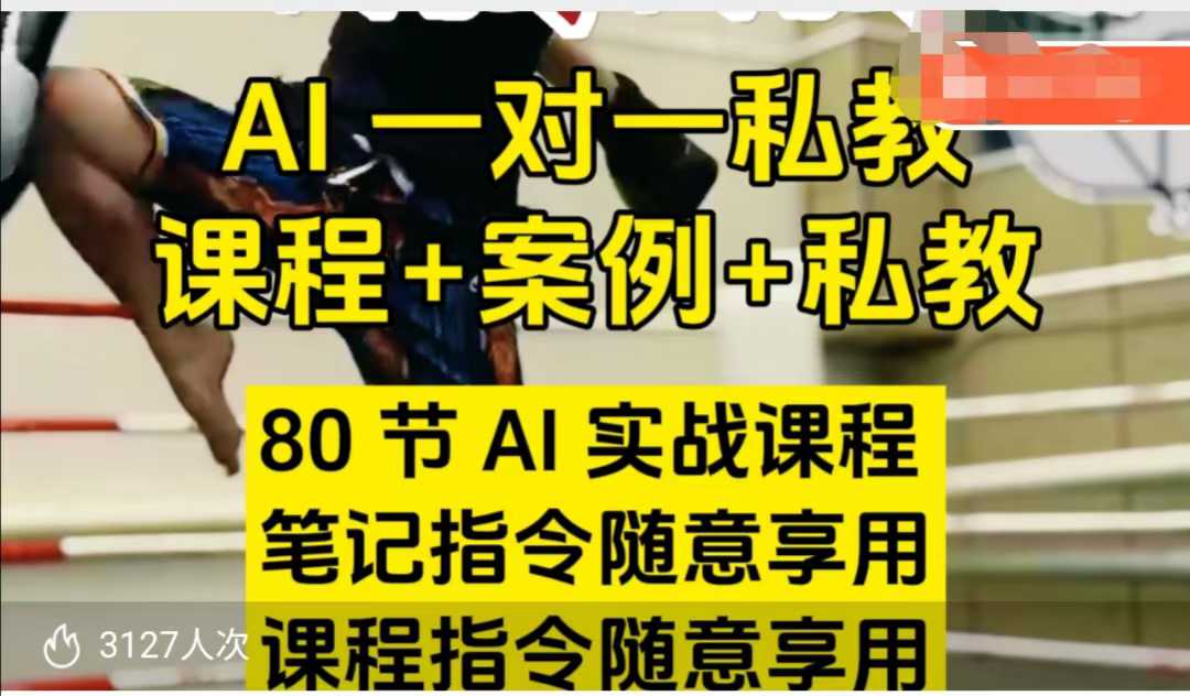 AI指令实战课，课程+案例，80节AI实战课程，笔记指令随意享用，课程指令随意享用(更新7月)-米壳知道—知识分享平台