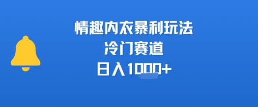 情趣内衣暴利玩法，冷门赛道，日入1k+-米壳知道—知识分享平台