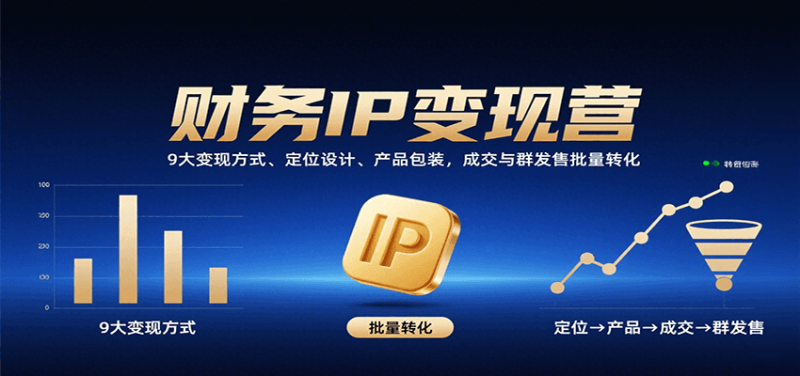 财务IP变现营:9大变现方式、定位设计、产品包装,成交与群发售批量转化-米壳知道—知识分享平台