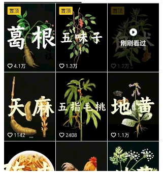 图片[2]-抖音中草药赛道，用AI做中草药故事视频，45条作品涨粉13W，橱窗带货猛猛出单-米壳知道—知识分享平台