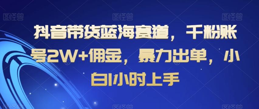 抖音带货蓝海赛道，千粉账号2W+佣金，暴力出单，小白1小时上手【揭秘】-米壳知道—知识分享平台