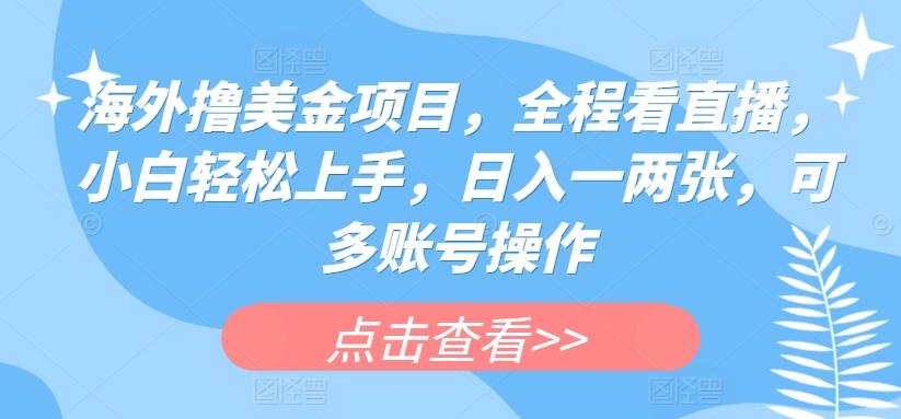 海外撸美金项目，全程看直播，小白轻松上手，日入一两张，可多账号操作【揭秘】-米壳知道—知识分享平台