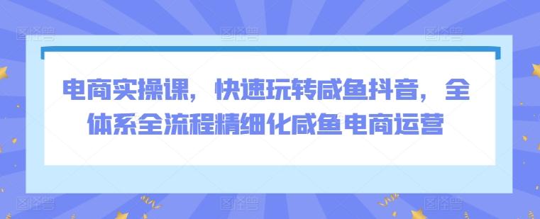 电商实操课，快速玩转咸鱼抖音，全体系全流程精细化咸鱼电商运营-米壳知道—知识分享平台