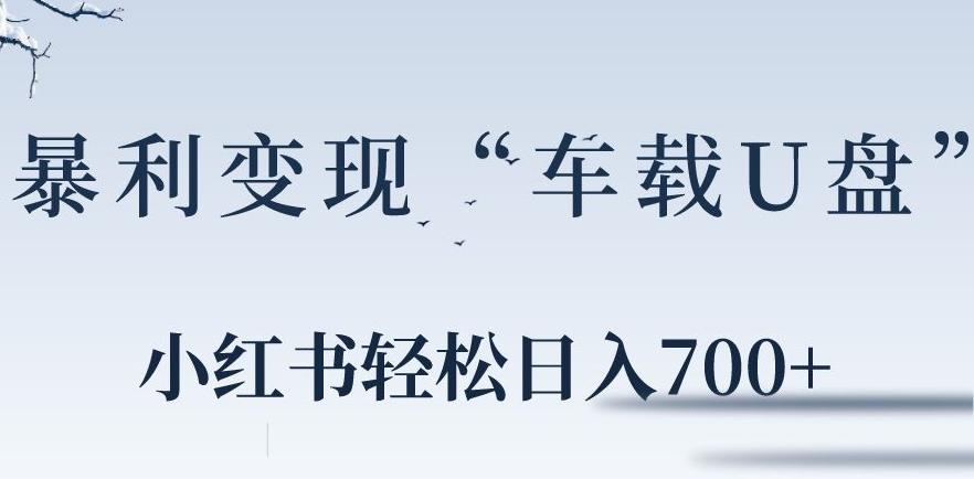 小红书“车载U盘”暴利引流，日入700+-米壳知道—知识分享平台