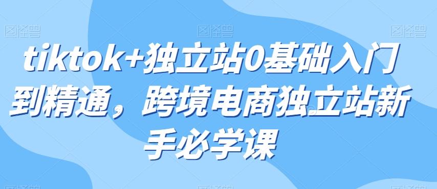 tiktok+独立站0基础入门到精通，跨境电商独立站新手必学课-米壳知道—知识分享平台