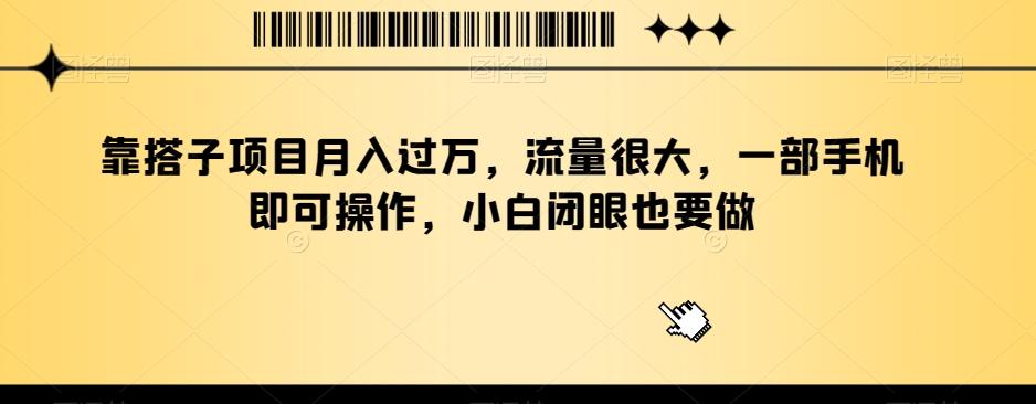 靠搭子项目月入过万，流量很大，一部手机即可操作，小白闭眼也要做-米壳知道—知识分享平台