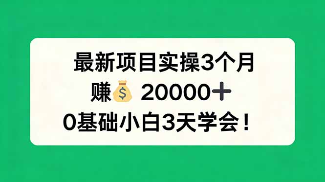 最新项目实操3个月，赚钱20000+，0基础小白3天学会！-米壳知道—知识分享平台