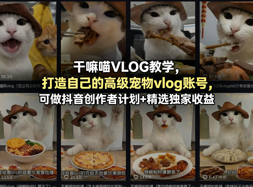 干嘛喵VLOG教学，打造自己的高级宠物vlog账号，可做抖音创作者计划+精选独家收益-米壳知道—知识分享平台