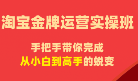 飓风电商·淘宝金牌运营实操班-米壳知道—知识分享平台