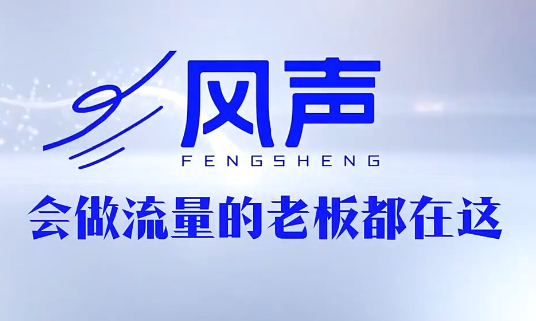 董十一·风声短视频AI获客年度会员-米壳知道—知识分享平台
