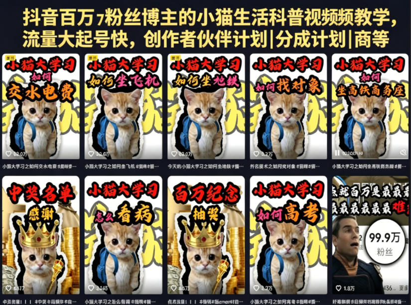 抖音百万粉丝博主的小猫生活科普视频教学，流量大起号快，创作者伙伴计划|分成计划|商单|收徒等-米壳知道—知识分享平台