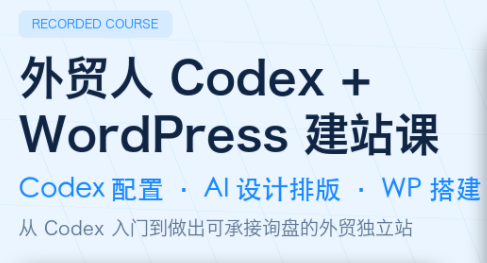 大卫·外贸人Codex + WordPress建站课(更新8月)-米壳知道—知识分享平台