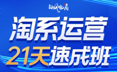 白凤电商·淘系运营21天速成班(更新8月)-米壳知道—知识分享平台
