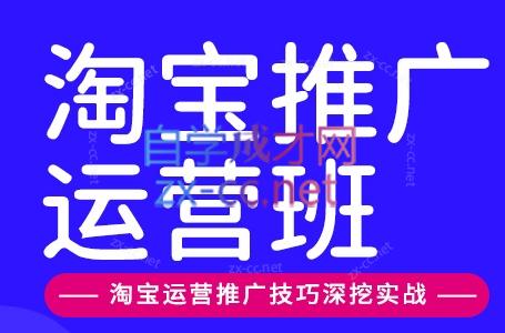 美迪电商·淘宝高级运营班+推广运营班(更新9月)-米壳知道—知识分享平台