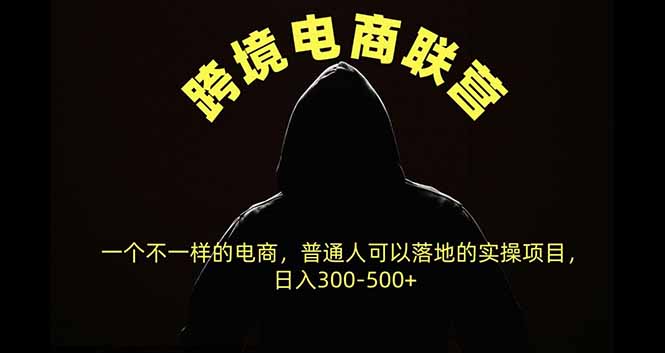 跨境电商联营，一个不一样的电商，普通人可操作日入300-500+-米壳知道—知识分享平台