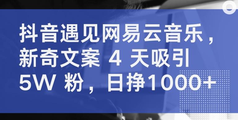 抖音遇见网易云音乐，新奇文案 4 天吸引 5W 粉，日挣1000+【揭秘】-米壳知道—知识分享平台