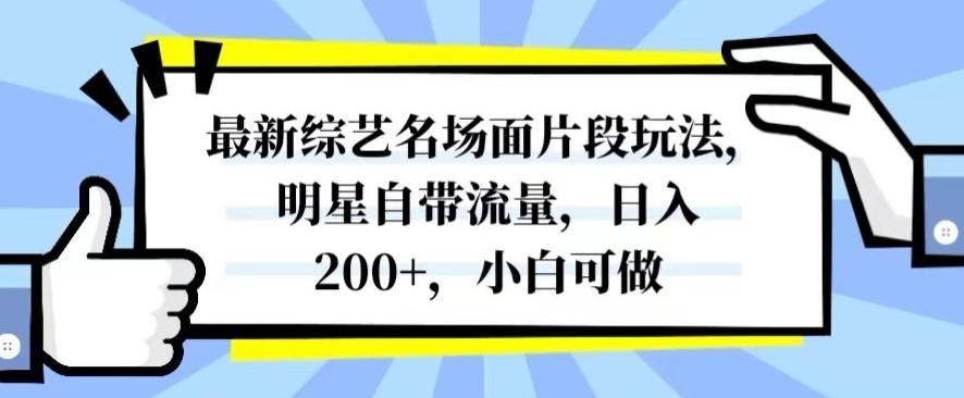 最新综艺名场面片段玩法，明星自带流量，日入200+，小白可做【揭秘】-米壳知道—知识分享平台