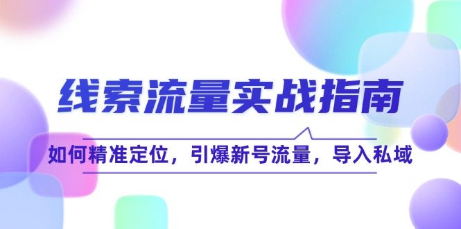 线 索 流 量-实战指南：如何精准定位，引爆新号流量，导入私域-米壳知道—知识分享平台