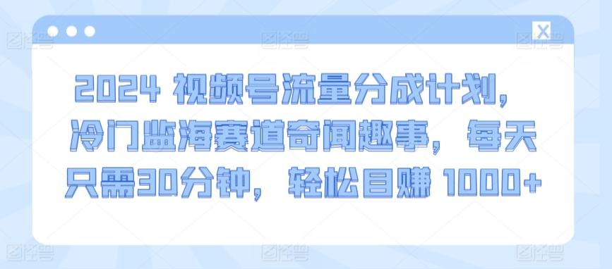 2024视频号流量分成计划，冷门监海赛道奇闻趣事，每天只需30分钟，轻松目赚 1000+【揭秘】-米壳知道—知识分享平台