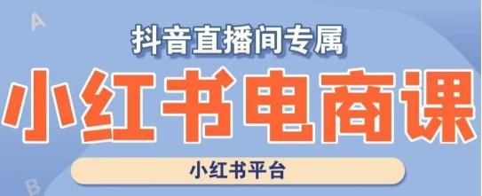 小红书电商高级运营课程，实操教学+案例分析-米壳知道—知识分享平台