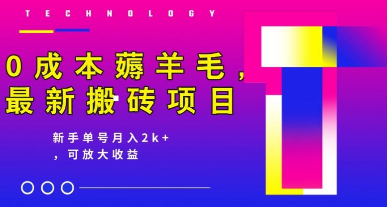 0成本薅羊毛，最新搬砖项目，新手单号月入2k+，可放大操作-米壳知道—知识分享平台