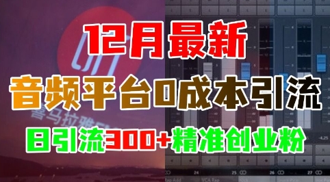 12月最新：音频平台0成本引流，日引流300+精准创业粉-米壳知道—知识分享平台