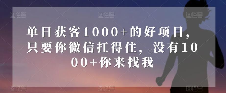 单日获客1000+的好项目，只要你微信扛得住，没有1000+你来找我【揭秘】-米壳知道—知识分享平台