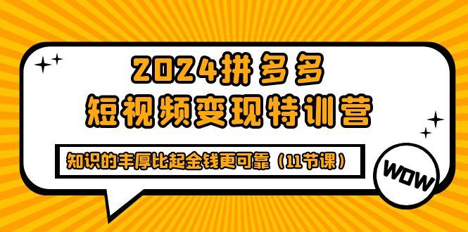 (9817期)2024拼多多短视频变现特训营，知识的丰厚比起金钱更可靠(11节课)-米壳知道—知识分享平台