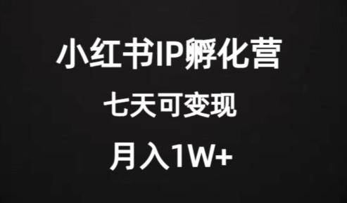 价值2000+的小红书IP孵化营项目，超级大蓝海，七天即可开始变现，稳定月入1W+-米壳知道—知识分享平台